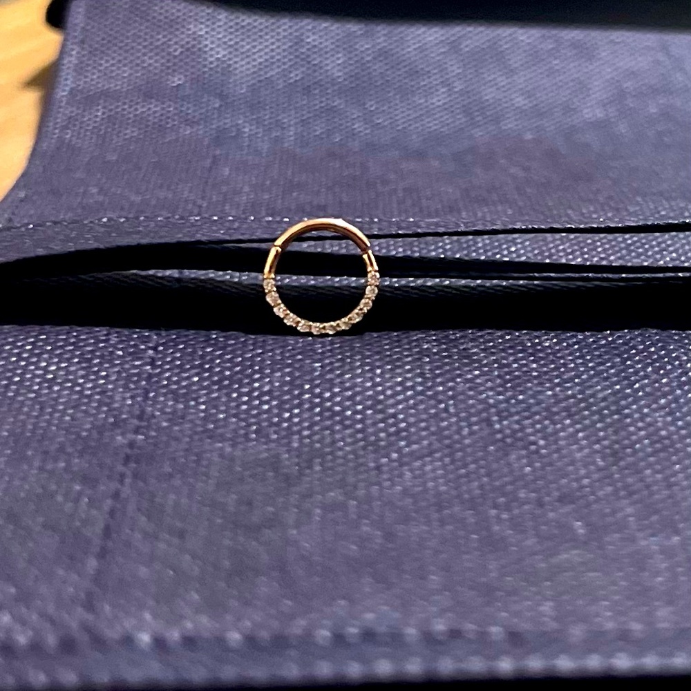 BVLA 14K Rose Gold Septum Ring